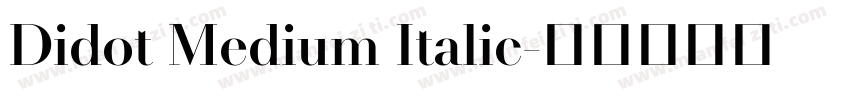 Didot Medium Italic字体转换